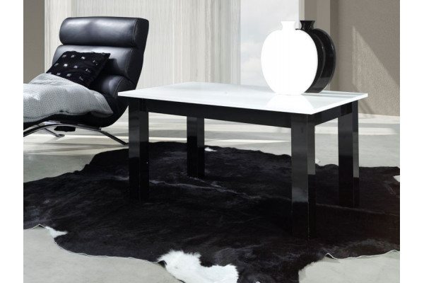 Coffee Table - T24