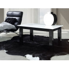 Coffee Table - T24