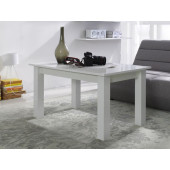 Coffee Tables - Coffee Table - T22