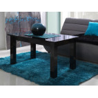 Coffee Table - T26