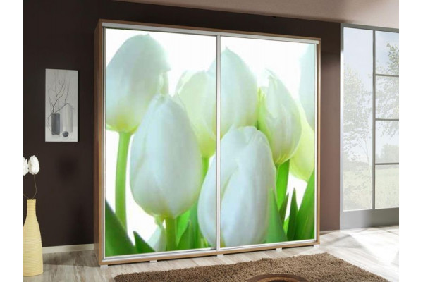 Wardrobe PENELOPA 205 Tulip